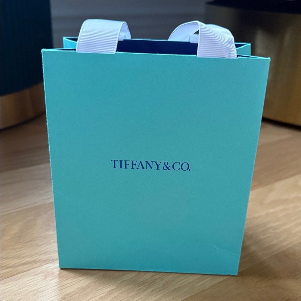 Tiffany & Co. Signature Blue-Green Gift Bag with White Ribbon